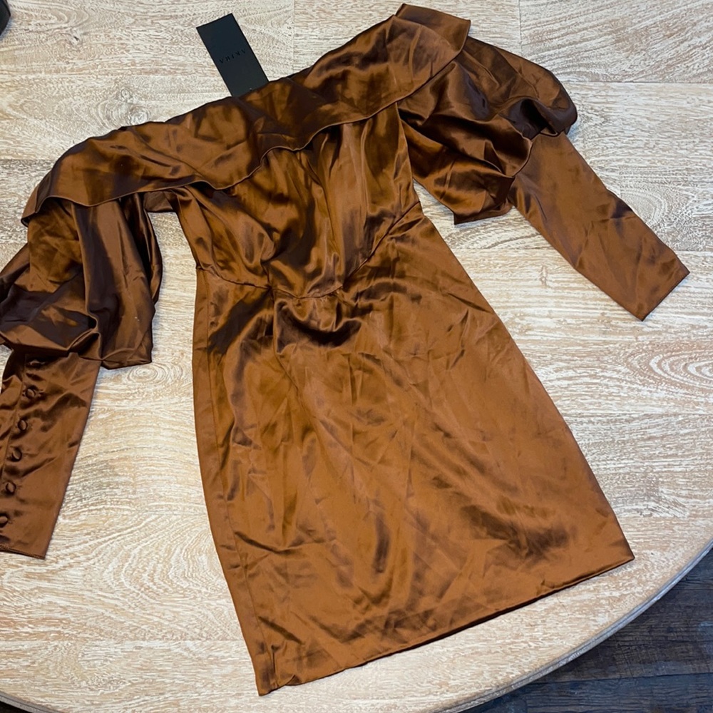 NWT Akira - Off Shoulder Brown Dress